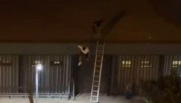 Özel güvenlik, konseri kaçak izleyen genci çatıdan attı