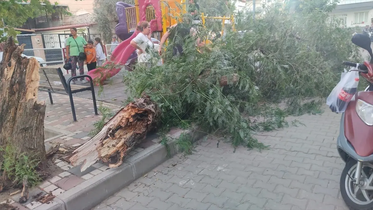 ruzgar devrilen agac altinda 2 kadin yaralandi fruxvjAP