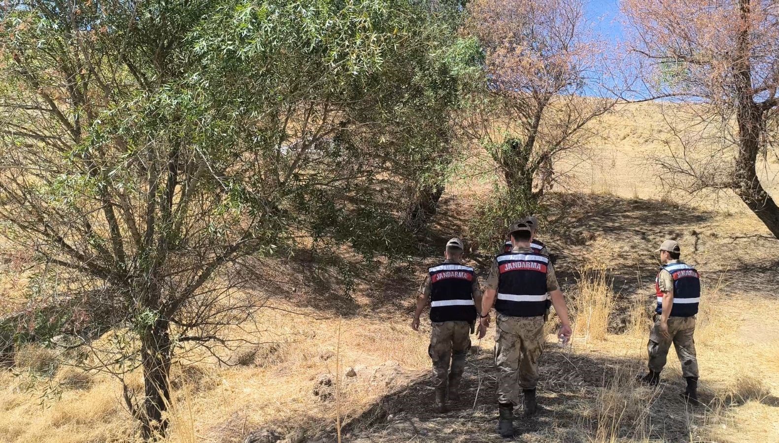Siirt’te kayıp Alzheimer hastası 9 gündür aranıyor