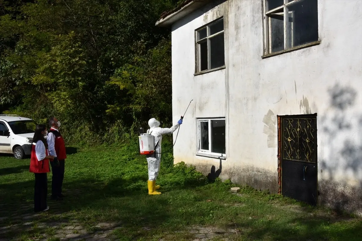 Kahverengi Kokarca ile Mücadeleye 20 Bin Tuzak