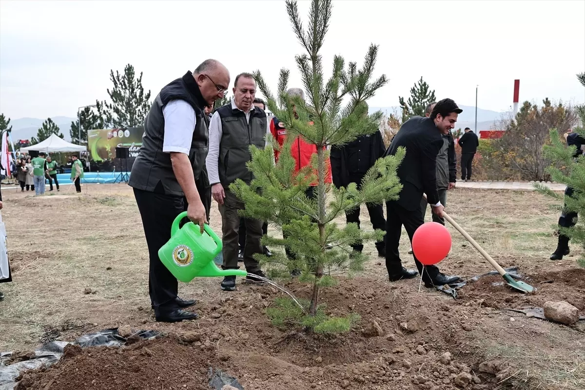 Ağaçlandırma Gününde Fidanlar Toprakla Buluşturuldu