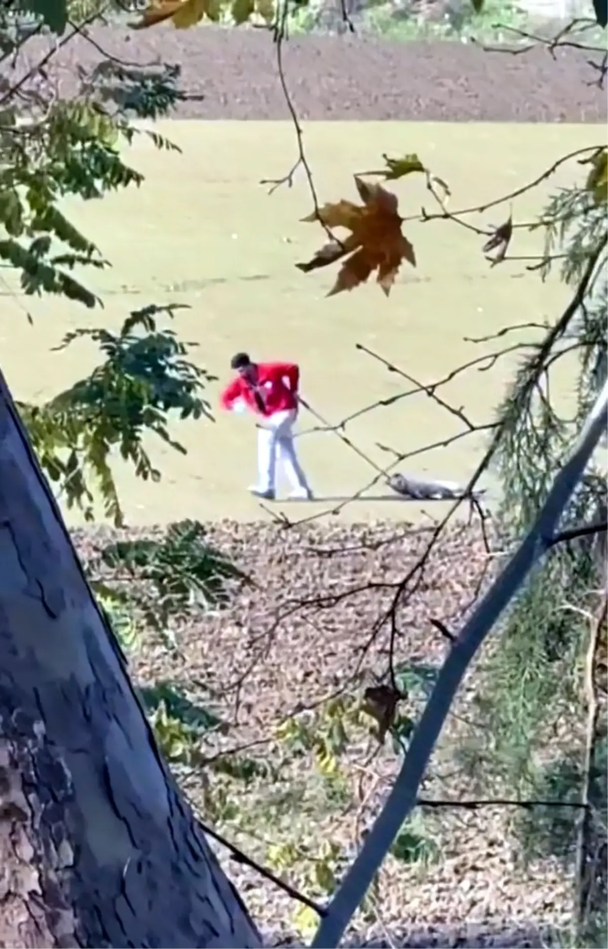 Edirne’de Belediye Personeli Sokak Köpeğini İple Sürükledi