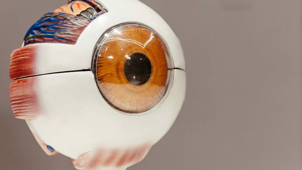 İnsan gözünden daha iyi gören robotik göz geliştirildi