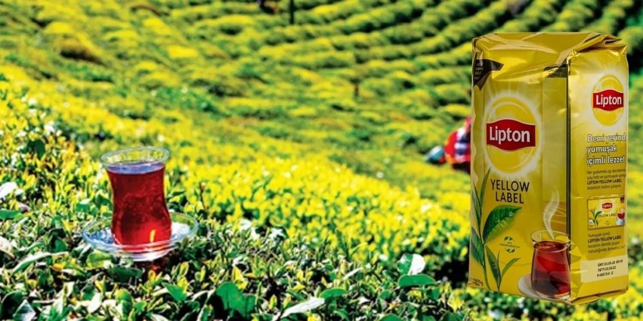 lipton-turkiyedeki-faaliyetlerine-son-verdi-ADug5IW1.jpg