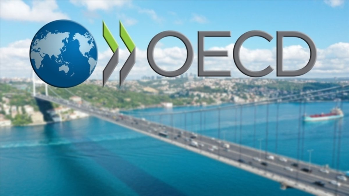oecd-turkiye-ekonomisinin-2025-ve-2026nin-buyume-tahminini-yukseltti-FSztBusZ.jpg