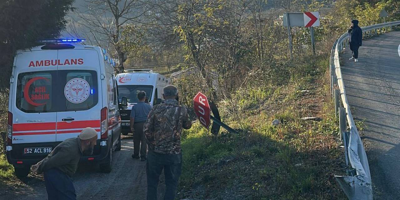 Ordu’da otomobil fındık bahçesine uçtu: Anne ve kızı yaralandı