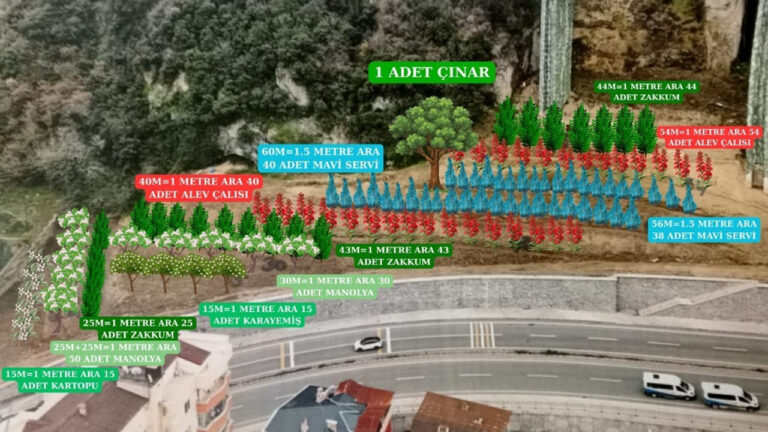 trabzon-barosundan-anlamli-proje-dogaya-ve-kente-kalici-katki-I9RSQUXm